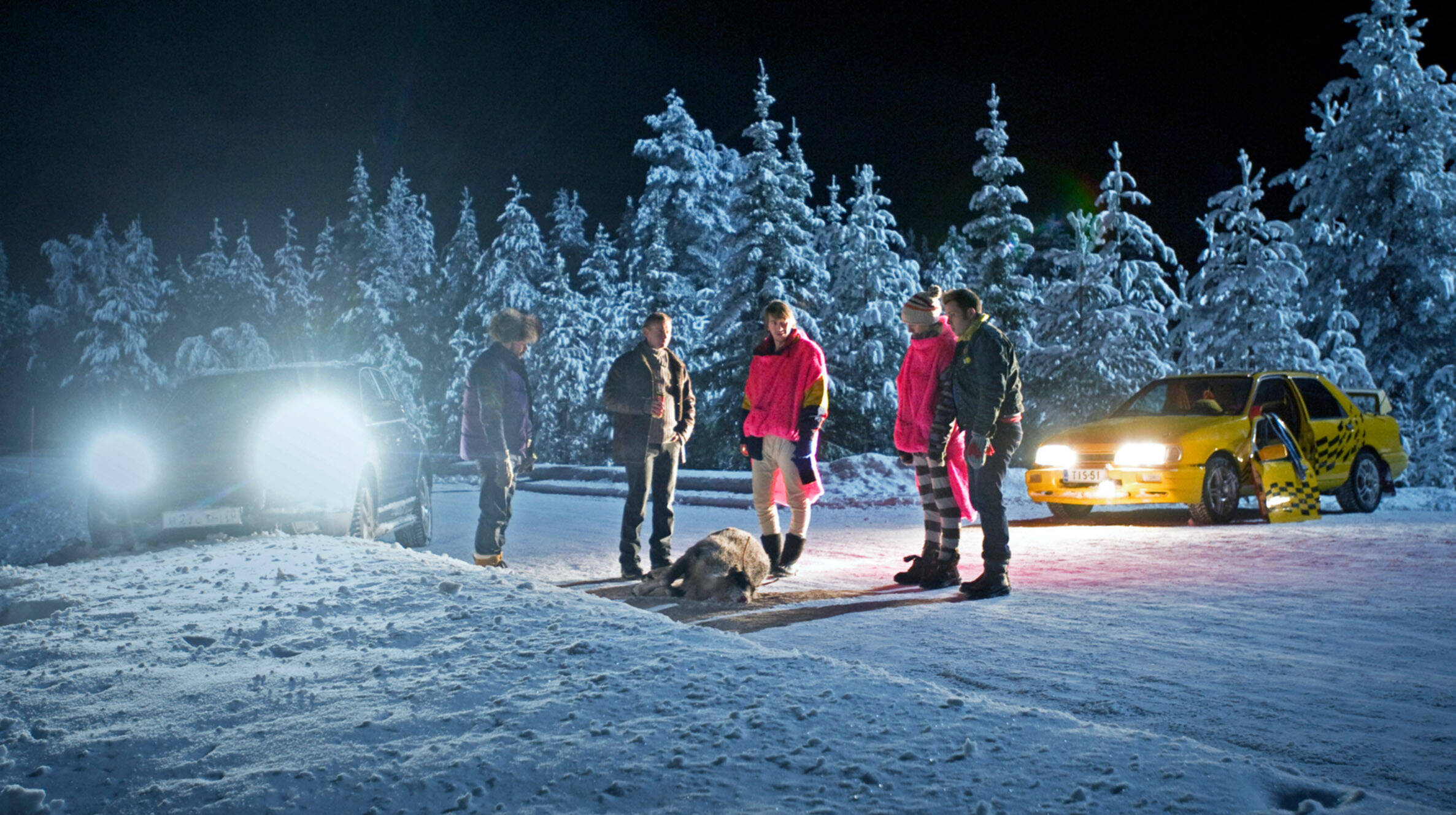 Tödlicher Wildunfall! Junge stirbt - Autofahrer versucht Reh auszuweichen und Wagen überschlägt sich